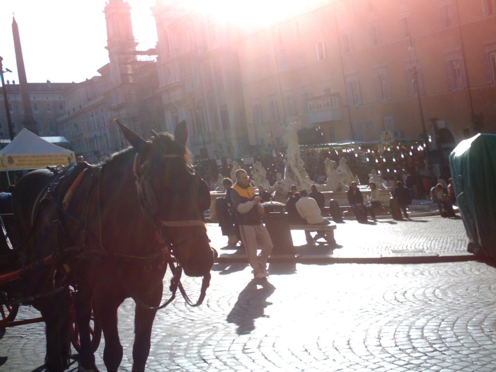 Dopo gatti e cani parliamo del Cavallo?